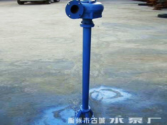 立式污水泵